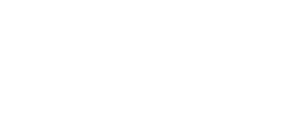 QUICKBRAAI